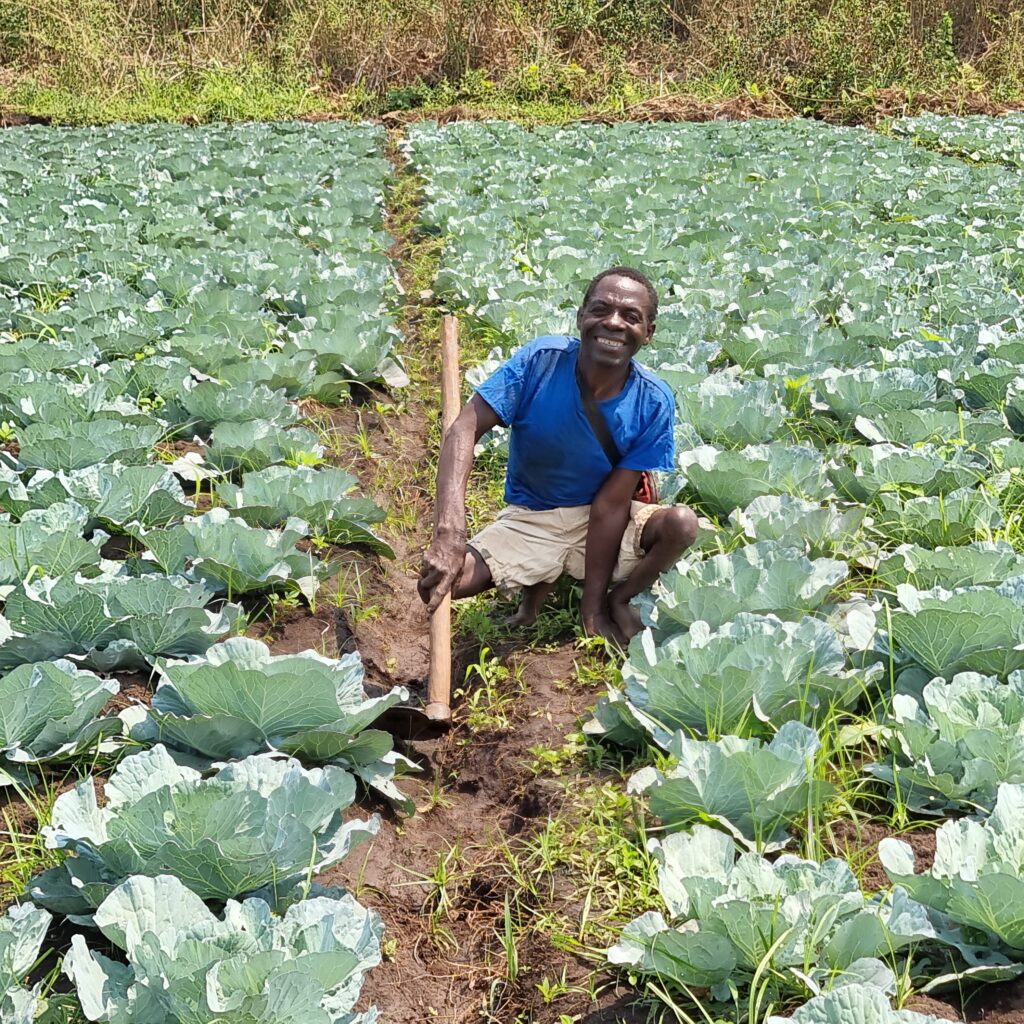 A man from Mozambique with a physical impairment in a blue shirt holding a hoe sits in a field of vegetables.
