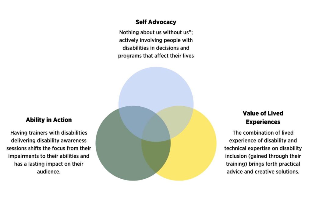 A diagram showing the three key reasons for the DIF Approach-Self Advocacy Ability in Action, and Value of Lived Experience